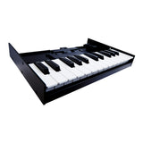 Roland K-25M 25-Key Boutique Module Dock USB MIDI Portable Keyboard, 12-Inch