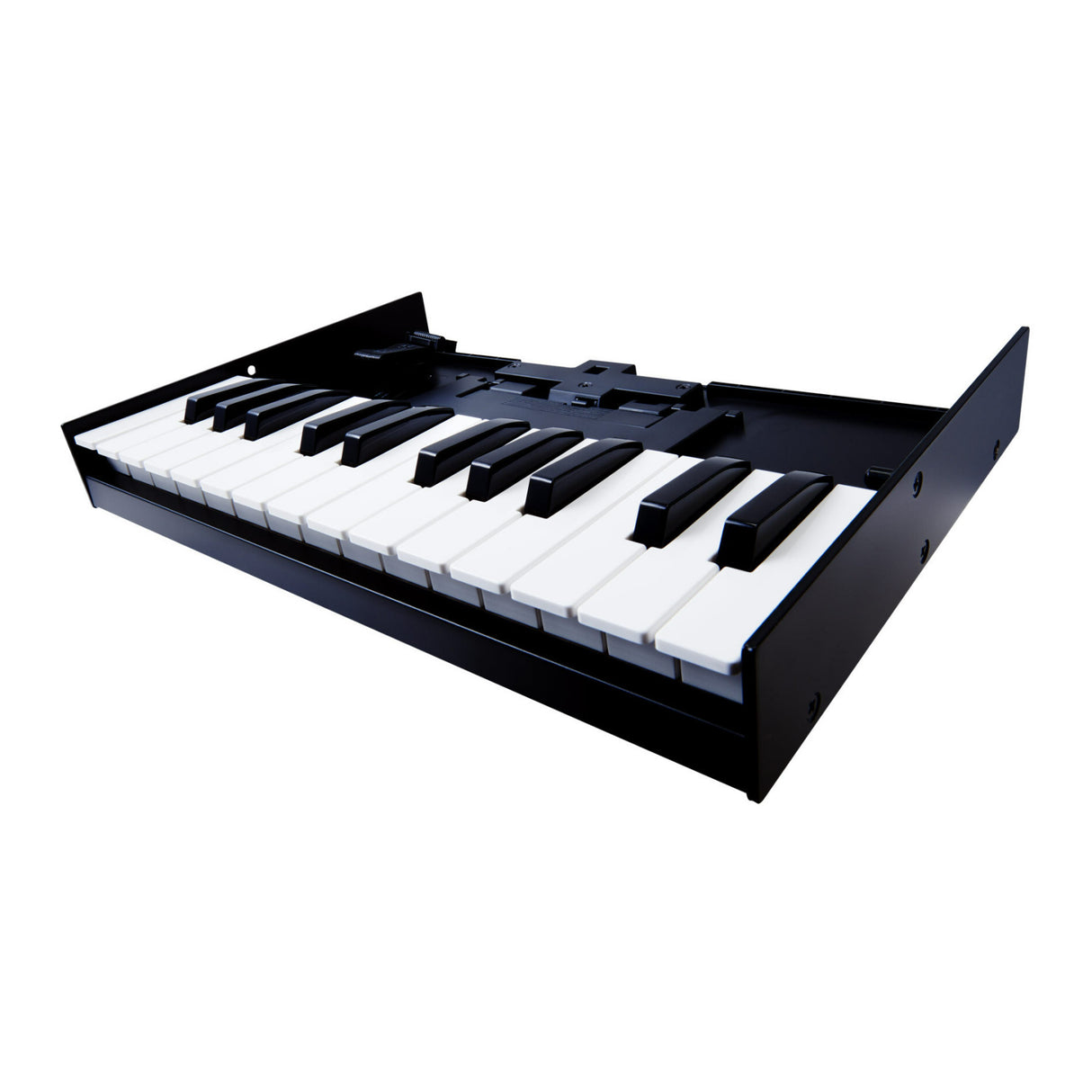 Roland K-25M 25-Key Boutique Module Dock USB MIDI Portable Keyboard, 12-Inch