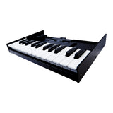 Roland K-25M 25-Key Boutique Module Dock USB MIDI Portable Keyboard, 12-Inch (Open Box)