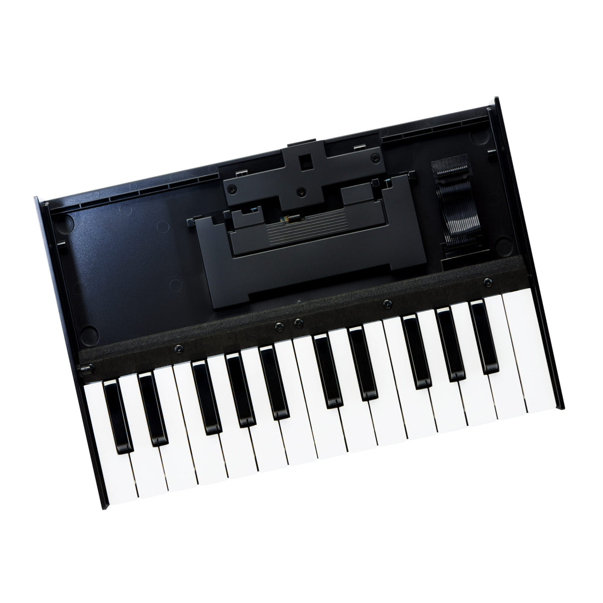 Roland K-25M 25-Key Boutique Module Dock USB MIDI Portable Keyboard, 12-Inch