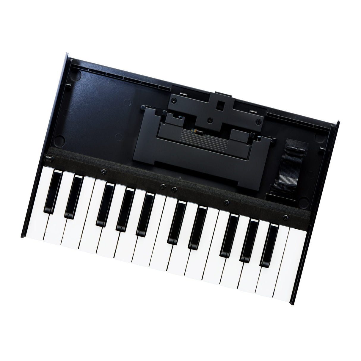 Roland K-25M 25-Key Boutique Module Dock USB MIDI Portable Keyboard, 12-Inch