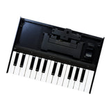 Roland K-25M 25-Key Boutique Module Dock USB MIDI Portable Keyboard, 12-Inch