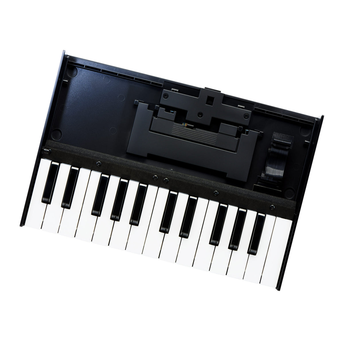 Roland K-25M 25-Key Boutique Module Dock USB MIDI Portable Keyboard, 12-Inch (Open Box)