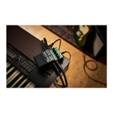 BOSS RE-2 Space Echo Compact Full Stereo I/O Delay and Reverb Effects Pedal