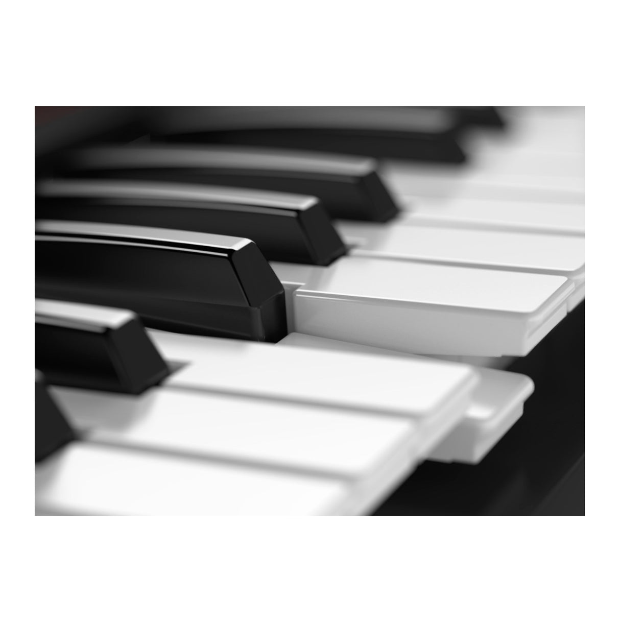 Roland JUNO-DS 61-Key Lightweight Battery-Powered Keyboard Synthesizer Action