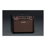 BOSS Acoustic Singer Live LT 60-Watt Bi-Amp Acoustic Guitar Amplifier Bundle
