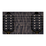 EVH Wolfgang Special QM 6-String Electric Guitar (Charcoal Burst) with Hard Case