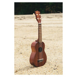 Makala Soprano Nickel Fret Update
