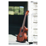 Makala Concert Ukulele Nickel Fret Update