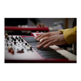 Nord Stage 4 HA73 73-Key Fully-Weighted Keyboard Bundle with Accessories