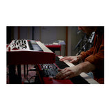 Nord Stage 4 88 88-Key Fully-Weighted Keyboard Bundle with Accesories Kit