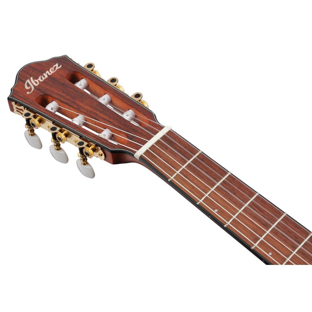 Ibanez FRH10NRGF Nylon String Acoustic-Electric Guitar Rose Gold Metallic Flat