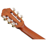 Ibanez FRH10NRGF Nylon String Acoustic-Electric Guitar Rose Gold Metallic Flat