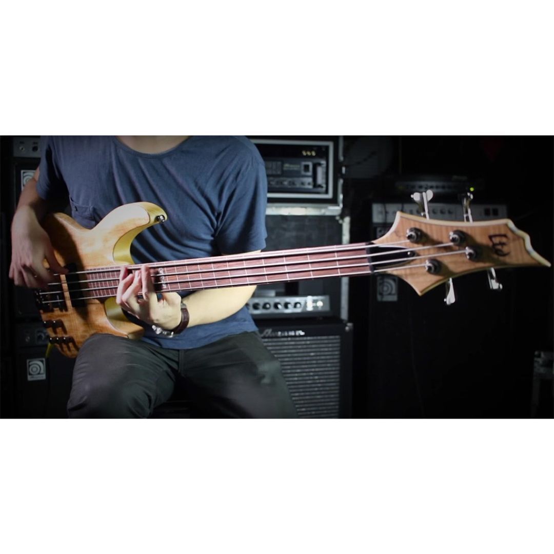ESP LTD B-204SM Fretless Bass Guitar - Natural Satin