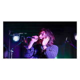 SE V7-CHROME Studio Grade Handheld Microphone Supercardioid. Chrome