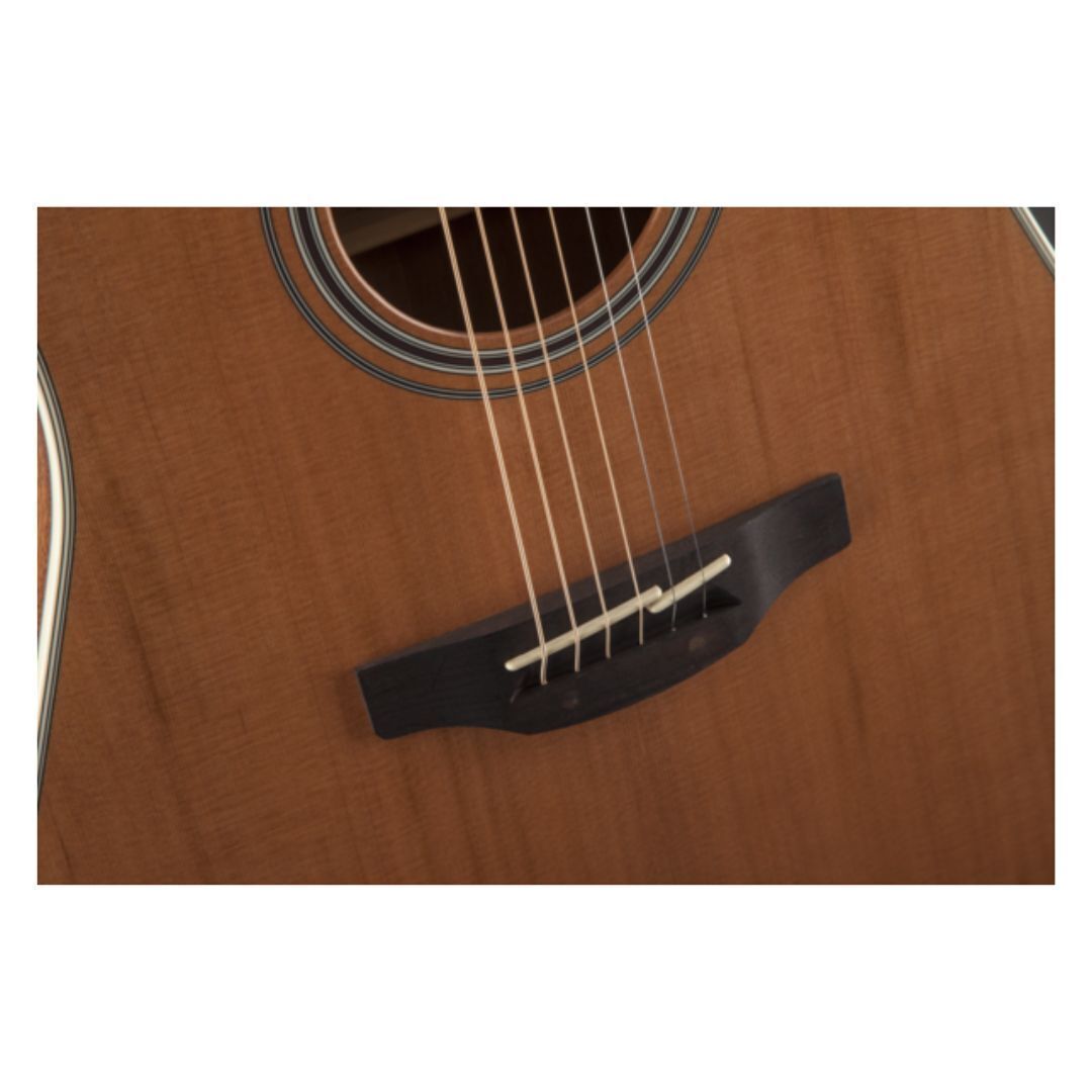 Takamine GN20CE-NS NEX Acoustic-Electric Guitar