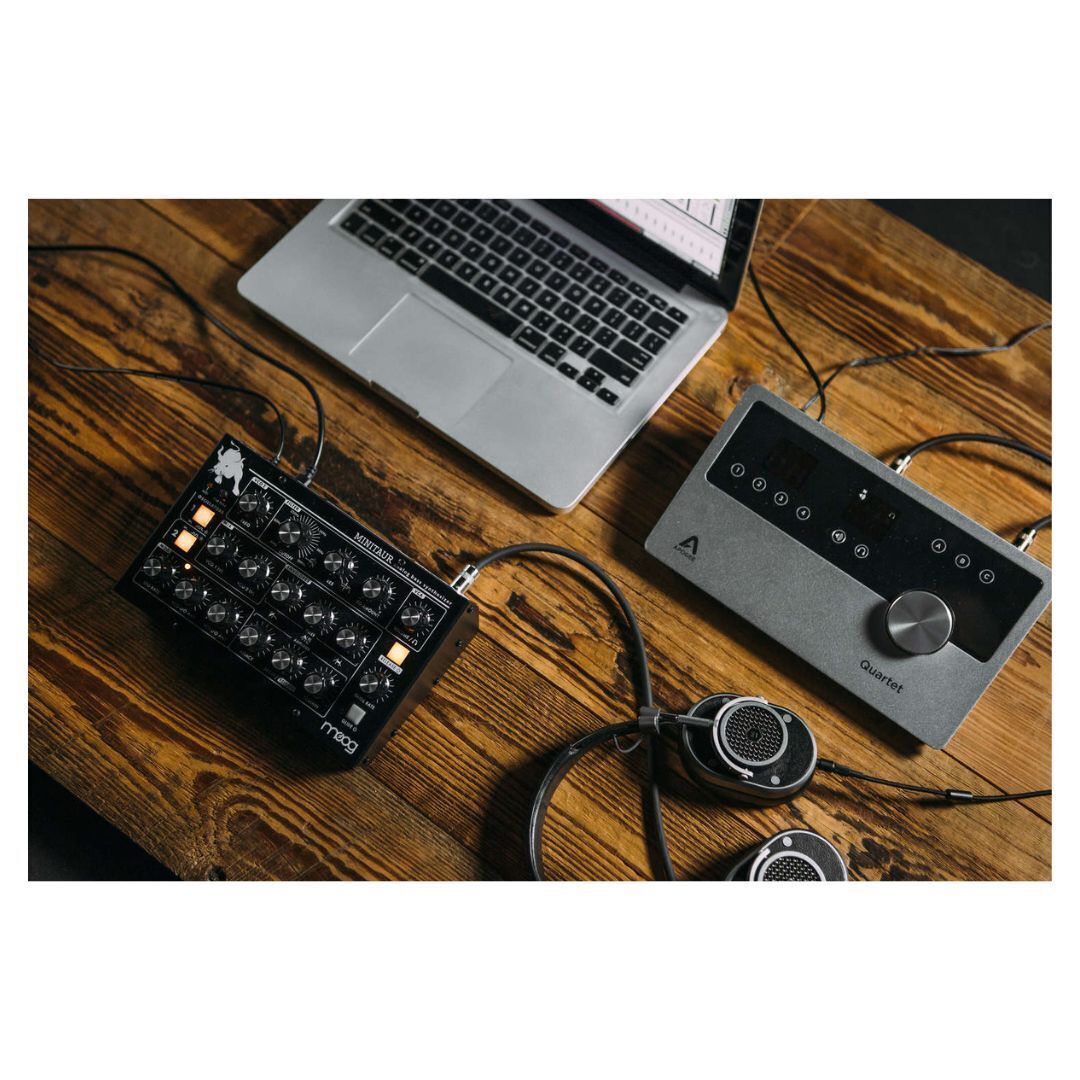 Moog Minitaur Analog Bass Synthesizer