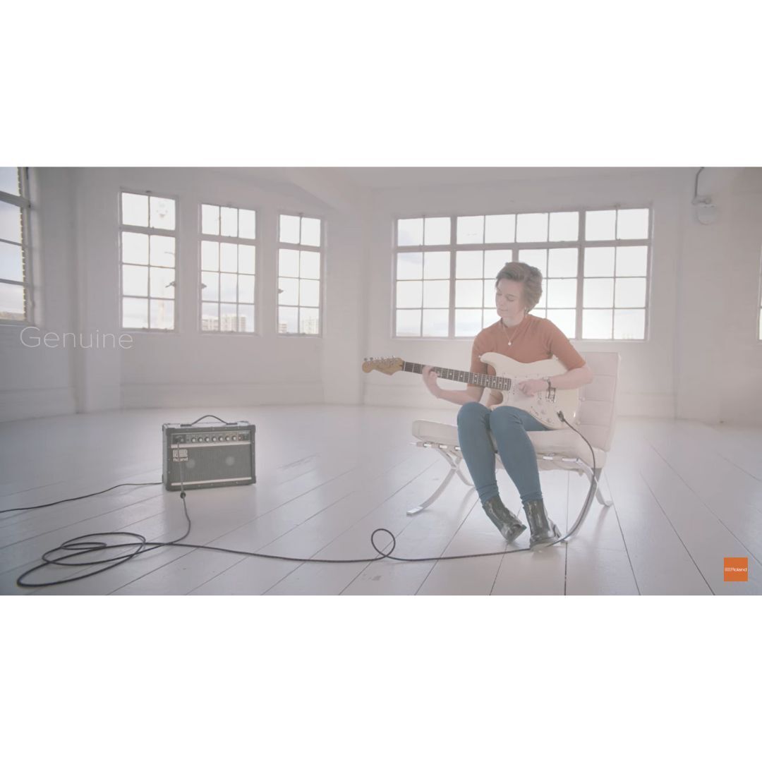 Roland JC-22 Jazz Chorus 40-Watt Guitar Amplifier with Two 6.5-Inch Speakers