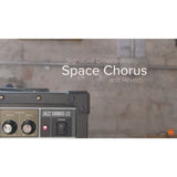 Roland JC-22 Jazz Chorus 40-Watt Guitar Amplifier with Two 6.5-Inch Speakers