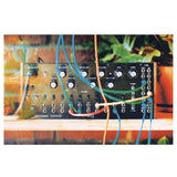 MOOG Spectravox Semi-Modular Analog Spectral Processor