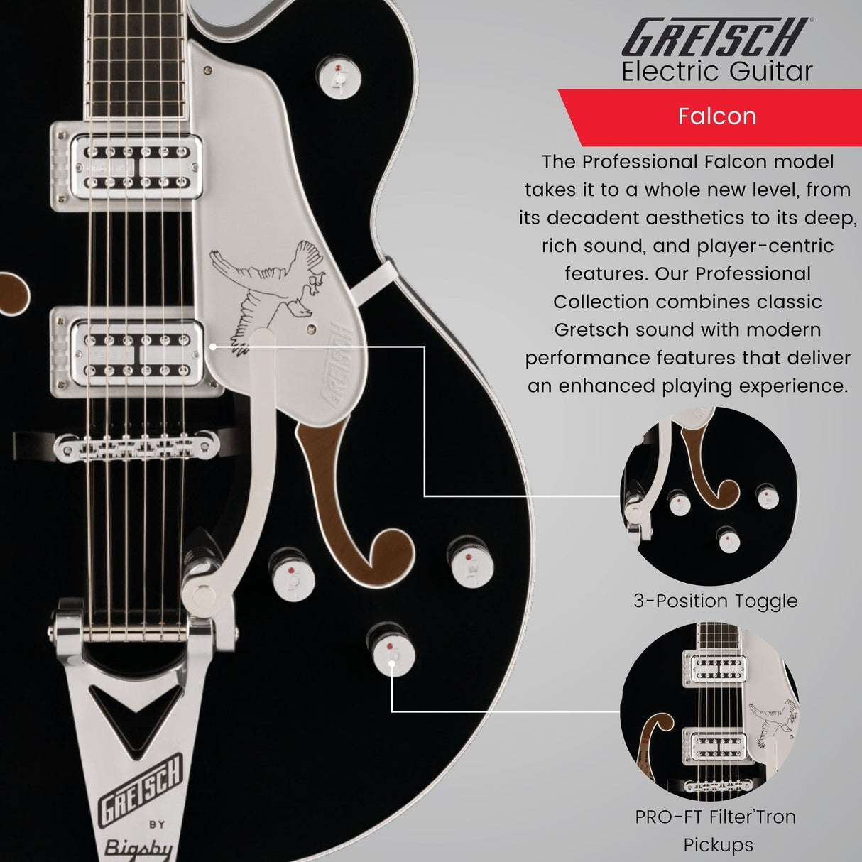 Gretsch Falcon Hollow Body Electric Guitar with Ebony Fingerboard (Black)