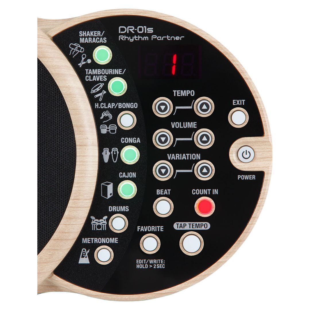 Boss DR-01S Rhythm Partner