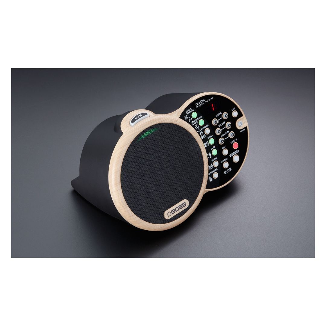 Boss DR-01S Rhythm Partner