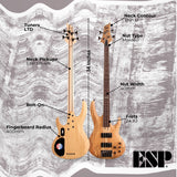 ESP LTD B-204SM Bass Guitar - Natural Satin with Hardshell Case and Stand