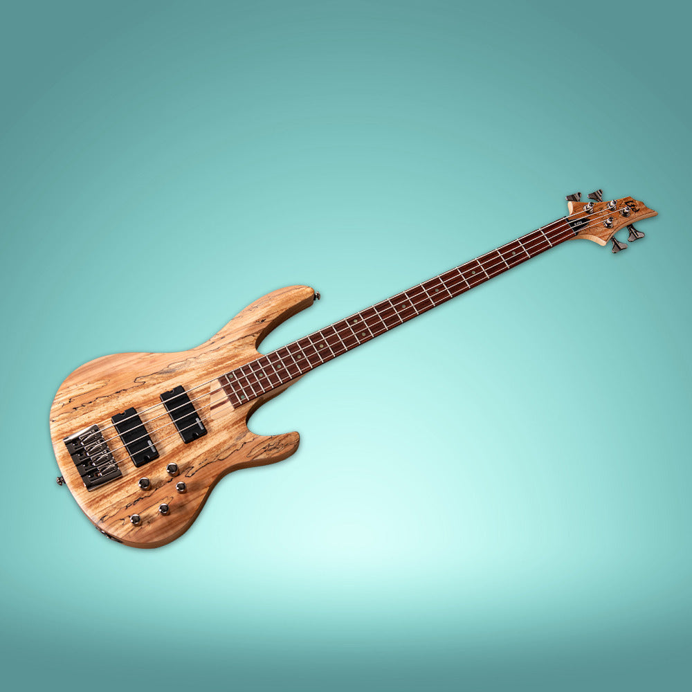 ESP LTD B-204SM Bass Guitar - Natural Satin with Hardshell Case and Stand