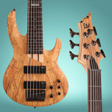 ESP LTD B-206SM Bass Guitar - Natural Satin with Hardshell Case and Stand