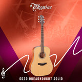 Takamine G Series GD20 Dreadnought Solid Top Acoustic Guitar Satin Natural