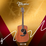 Takamine GD11M NEX Acoustic Guitar, Natural Satin Finish with Case and stand