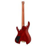 Manuel Gardner Fernandes Ibanez Signature Guitar