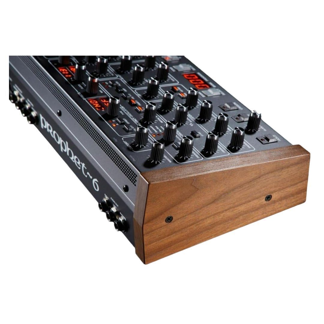 Sequential Prophet-6 Module 6-Voice Polyphonic Analog Synthesizer