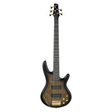 Ibanez Gio SR 5str Electric Bass - Transparent Pale Black Burst