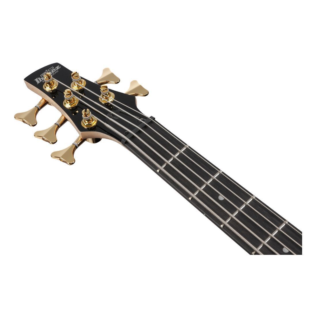 Ibanez Gio SR 5str Electric Bass - Transparent Pale Black Burst