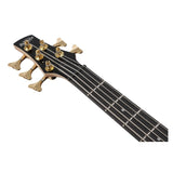 Ibanez Gio SR 5str Electric Bass - Transparent Pale Black Burst