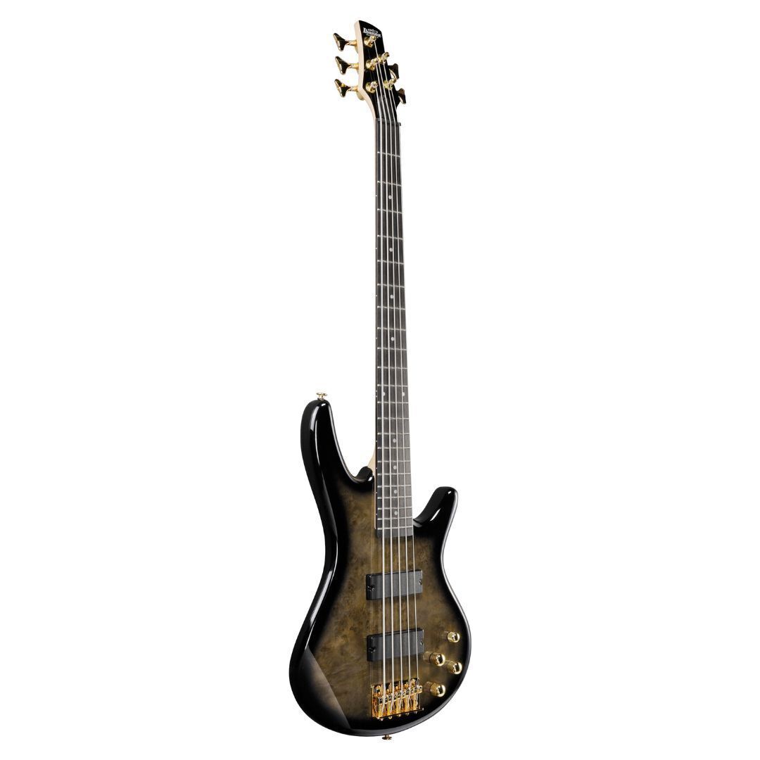 Ibanez Gio SR 5str Electric Bass - Transparent Pale Black Burst