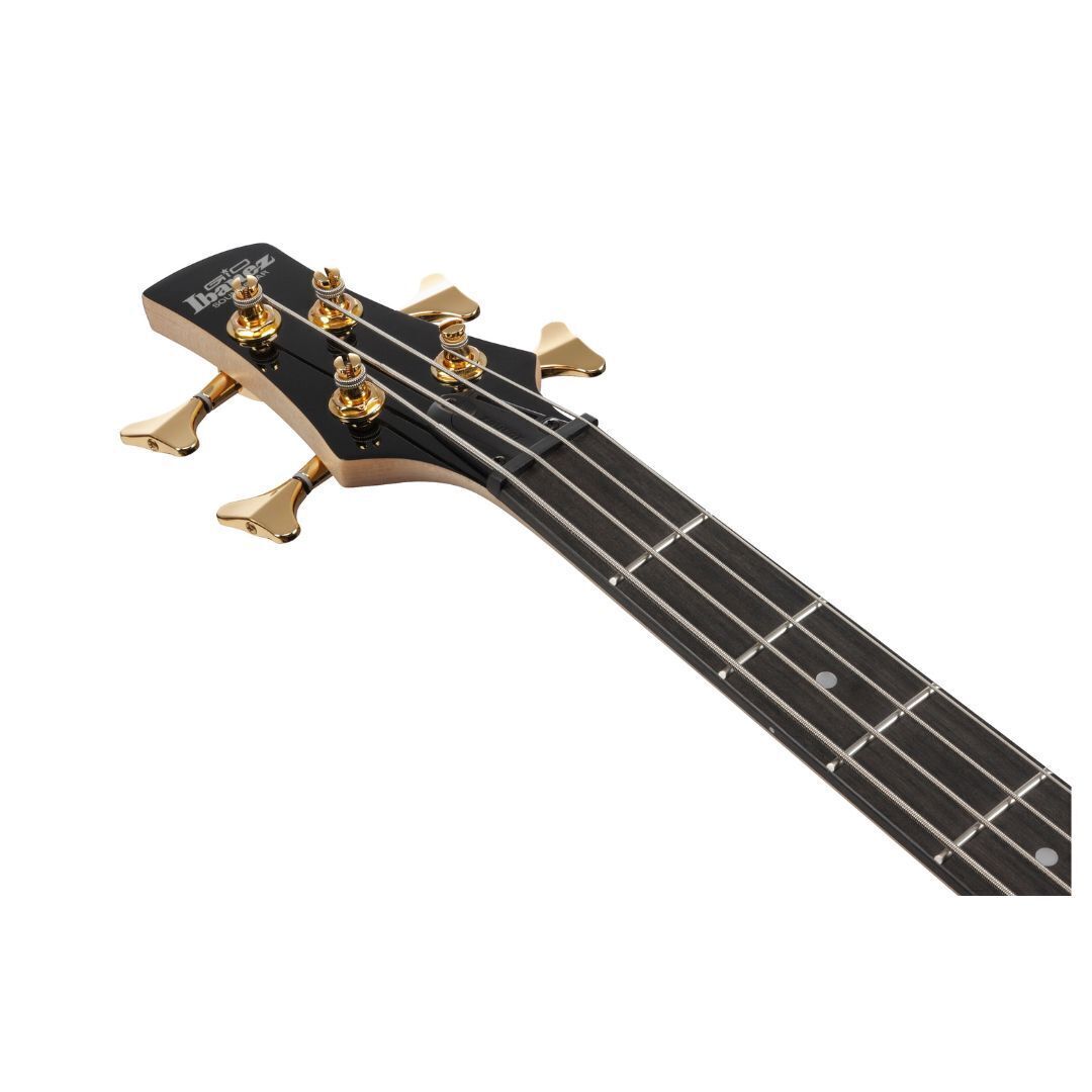 Ibanez Gio SR 4str Electric Bass - Transparent Pale Black Burst