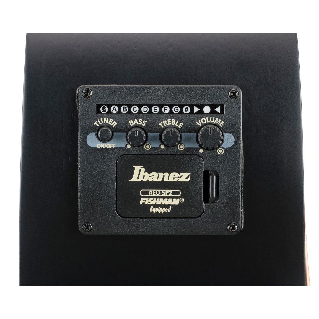 Ibanez AEG721 Black Out AE Guitar