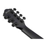 Ibanez AEG721 Black Out AE Guitar