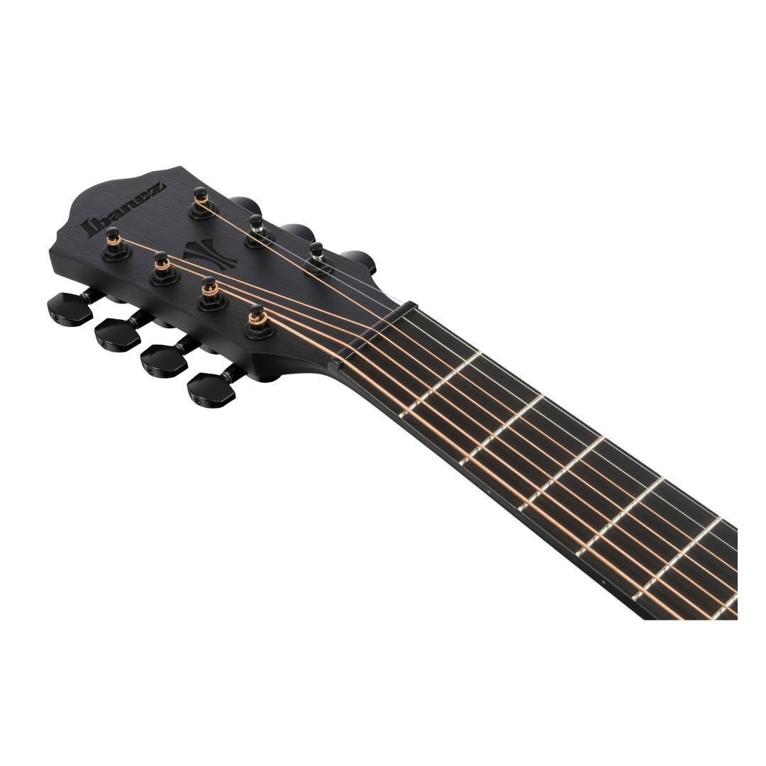 Ibanez AEG721 Black Out AE Guitar