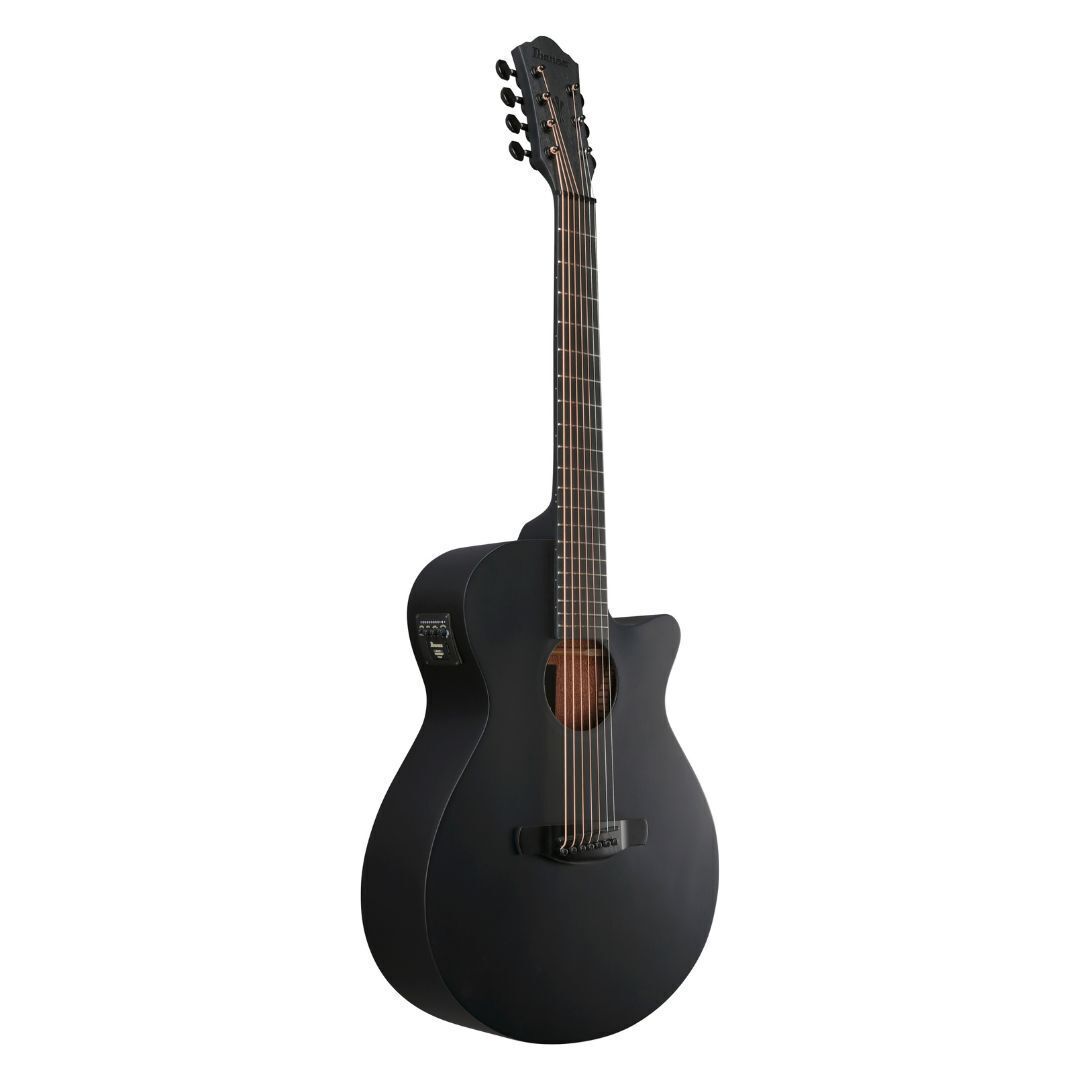 Ibanez AEG721 Black Out AE Guitar
