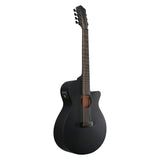 Ibanez AEG721 Black Out AE Guitar