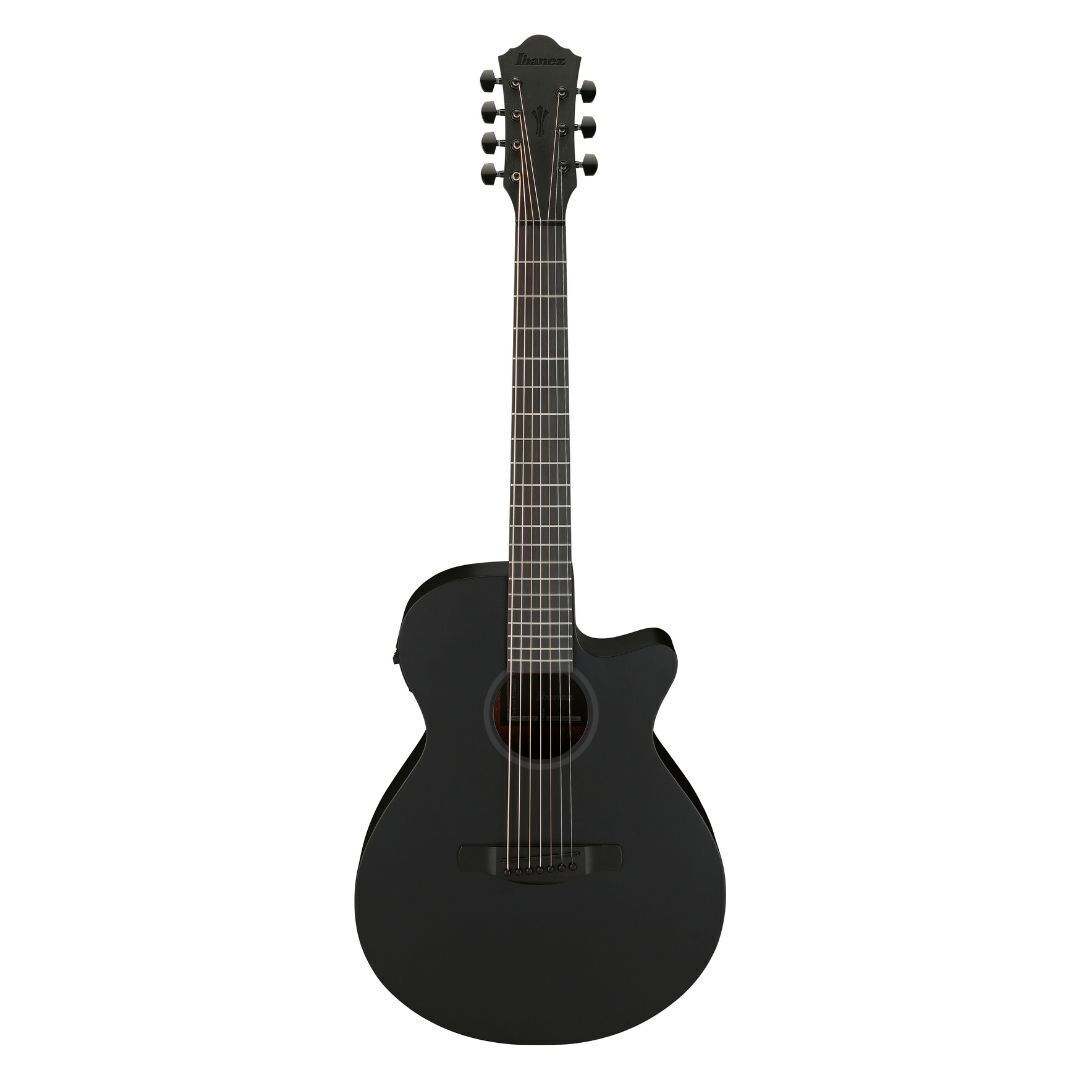 Ibanez AEG721 Black Out AE Guitar