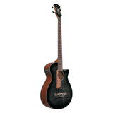 Ibanez AEGB25E Transparent Black Burst High Bloss ACEL Bass Guitar