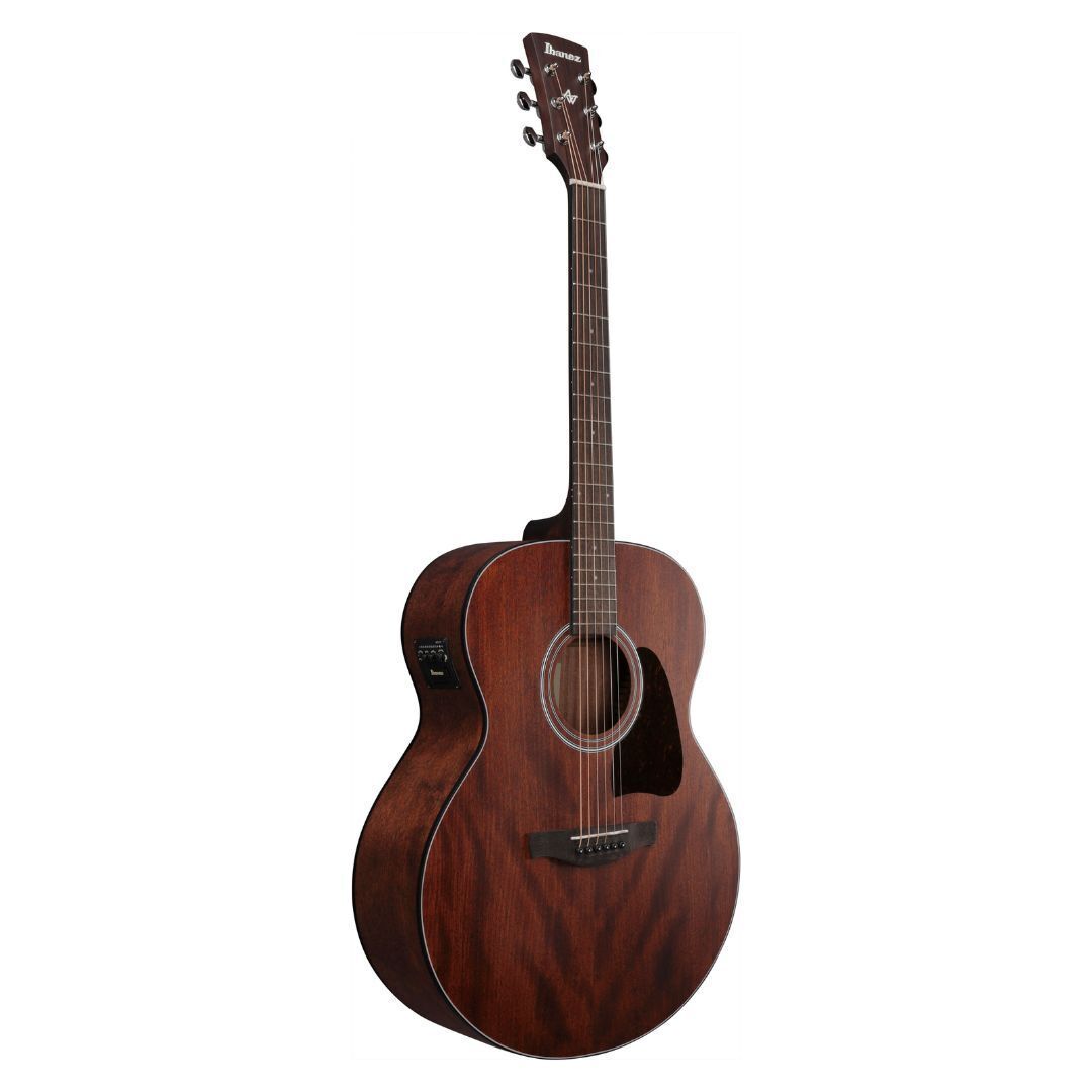 Ibanez AJ54E Open Pore Natural AE Guitar