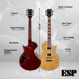 ESP LTD EC 256 FM 6 String Right Handed Vintage Electric Guitar Bundle with Case