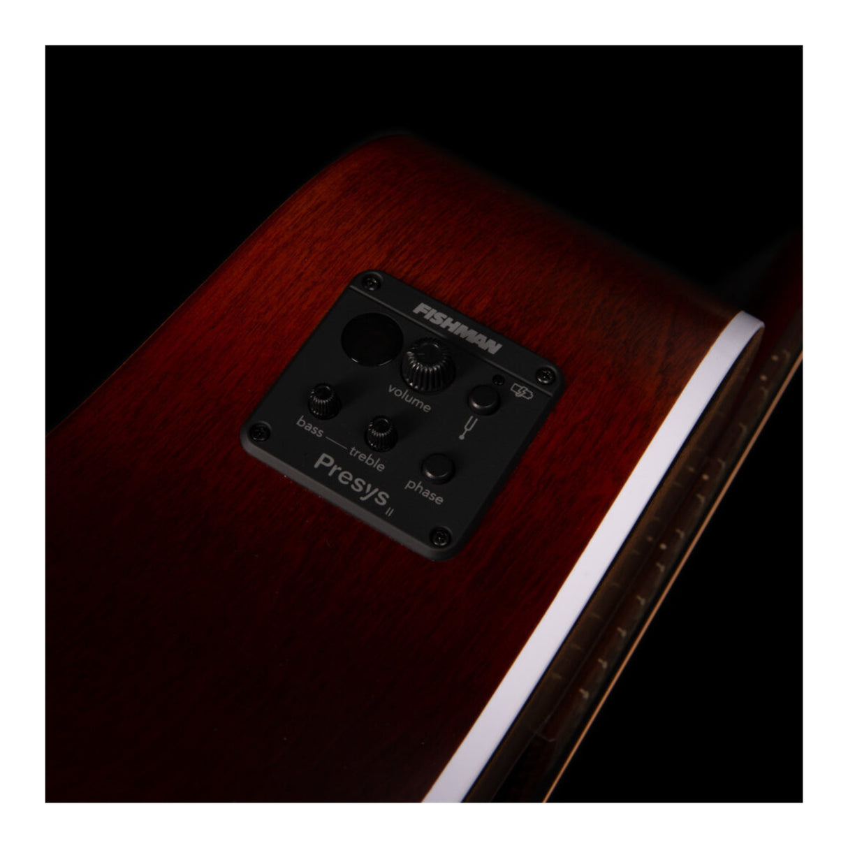 Seagull Entourage Right-Hand Acoustic Electric Guitar (Autumn Burst Presys II)