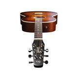 Seagull 6-String Entourage Folk Acoustic Guitar (Rustic Burst Semi Gloss)